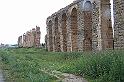 carthage - Oued Milliane 100_6347